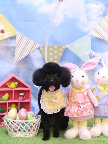 20240316豆ちゃん